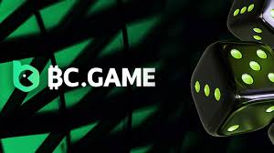 The Amazing World of BC CO Game Explore, Compete, and Win!