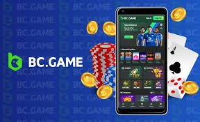 The Rising Popularity of Online Gaming A Look at BC gra com
