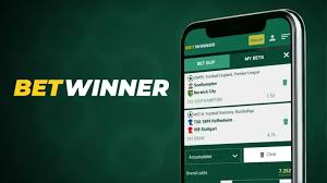 Comprehensive Review of BetWinner Hungary Features, Bonuses, and Betting Experience
