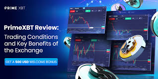 Maximize Your Trading Experience with PrimeXBT Bonuses