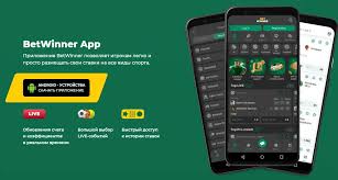 BetWinner BJ Online Casino Your Gateway to Thrilling Gaming Experience